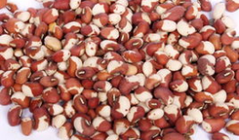 酸麻豆,探寻传统美食的独特魅力